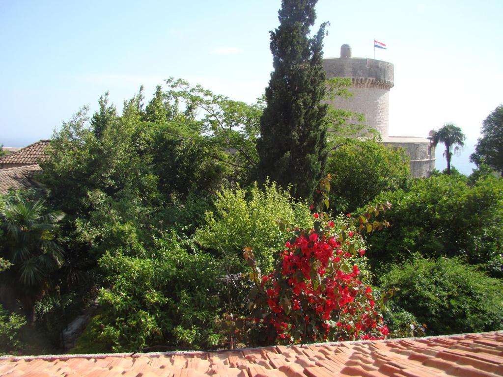 Turtle Apartments Dubrovnik Værelse billede